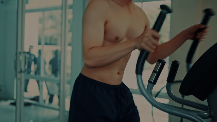 Clip Video de Stock caballo de fuerza Gratis Descargar Video con