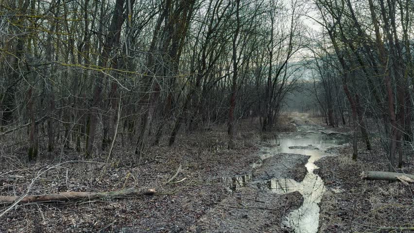 off-road. muddy way in the forest early spring just melted the snow. road dirt water puddles off-road in the forest. xtreme path forest no lifestyle road water mud puddles