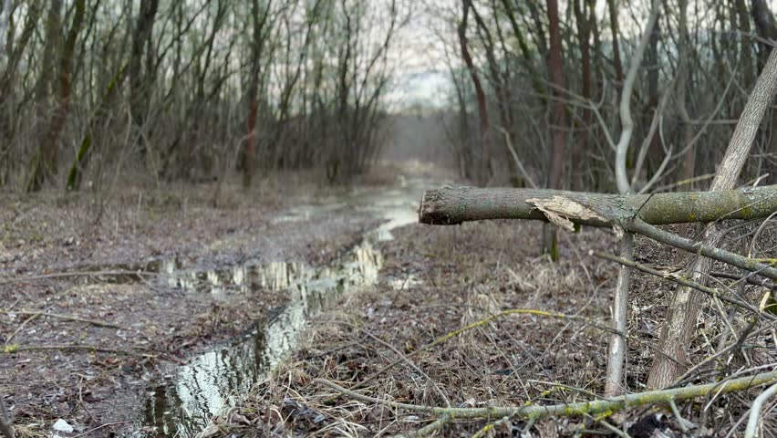 off-road. muddy way in the forest early spring just melted the snow. road dirt water puddles off-road in the forest. xtreme path lifestyle forest no road water mud puddles