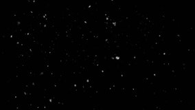 snowfall overlay, black background - winter, slowly falling snow effect White snow overlay layer on black background, snowflakes bokeh and snowfall for Christmas and holiday design. 3D Illustration - Powered by Shutterstock - Get 15% off with code: PIKWIZARD15