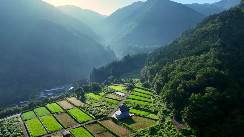  Terraced rice fields in the Japanese mountains in the morning, Shirakawago village in Japan, beautiful aerial view of Japanese Alps, tourism in Japan. High quality 4k footage