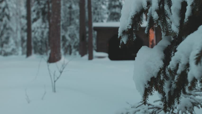 A scenic view of a wooden house in a pine forest covered with snow in winter