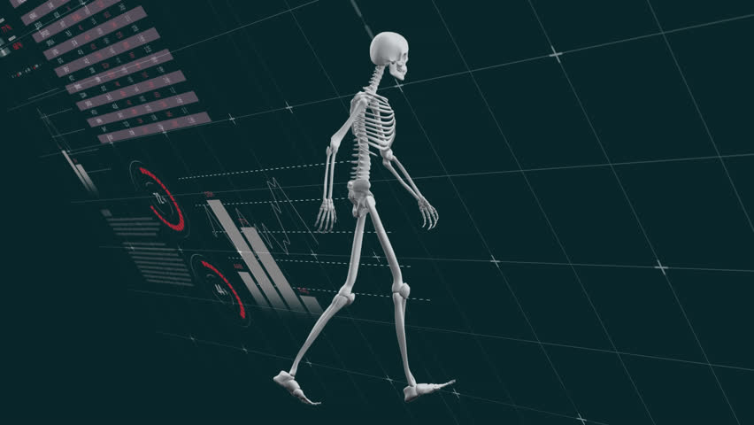 Animation of walking human skeleton over infographic interface against black background. Digitally generated, hologram, illustration, anatomy, report, business, global and medical concept. - Powered by Shutterstock - Get 15% off with code: PIKWIZARD15