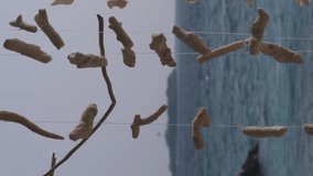 Vertical video. Hanging seashells and corals swaying on the wind over blurred ocean landscape. selective focus. Summer vacation and travel concept