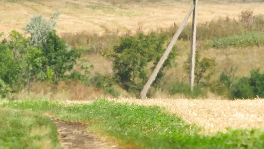 Mirage or heat waves over countryside with dry and green grass and trees on extreme hot summer day. Global warming and climate change concept video. Video was filmed with soft focus due to heat waves Royalty-Free Stock Footage #1107037981