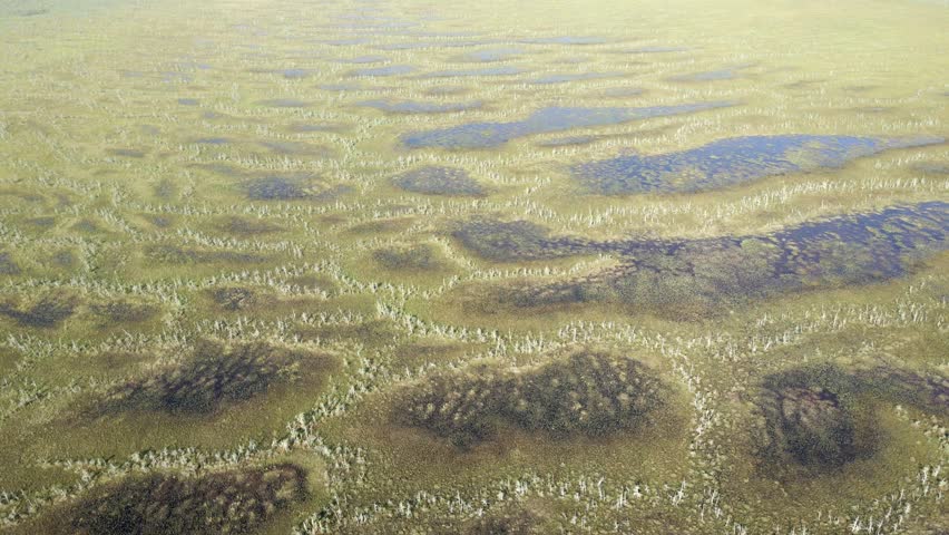 Aerial moving forward over a northern tundra like landscape with small ponds of water between ridges with small trees. A landscape called string-bog.  
