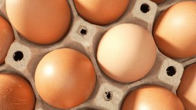 Farm-fresh eggs nestled in a charming paper tray, inviting you to indulge in nature's goodness. Their delicate shells encase rich, wholesome flavor, A culinary adventure that celebrates simplicity.
