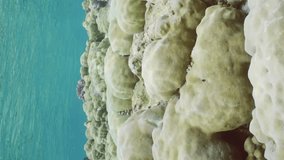 Vertical video, Camera moving forwards over hard corals colony Porites on shallow water, tropical fish of different species swim on reef, slow motion