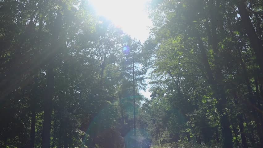 Girl with backpack on her back walks along path in forest. Short shorts, white T-shirt and large backpack. Rays of sun into lens, grass, trees and atmospheric color correction create pleasant feeling