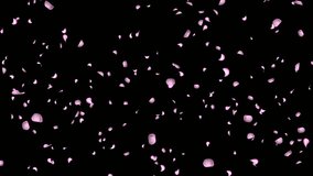 Pink rose petals rain falling on green screen romantic decoration of web greeting cards. Love Valentine's day. 4K Japanese Asian design. Love concept. Valentines day, wedding. 3D Illustration - Powered by Shutterstock - Get 15% off with code: PIKWIZARD15