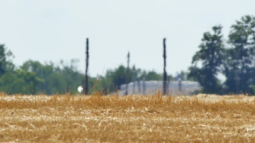 Mirage or heat waves over wheat field on extreme hot summer weather. Extreme heat, period of abnormally hot weather. Global warming and climate change concept video | Shutterstock HD Video #1107066363