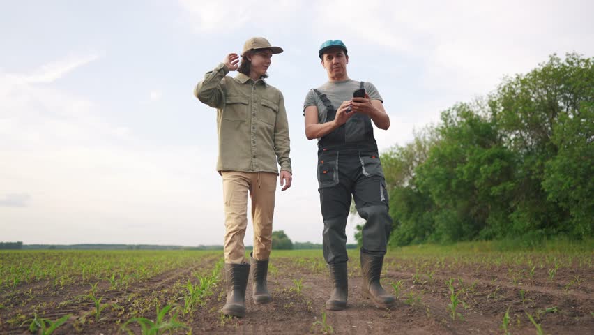 agriculture corn. two farmers walk work in a field with corn. agriculture business farm concept. a group of farmers examining corn sprouts in lifestyle an agricultural field Royalty-Free Stock Footage #1107067263