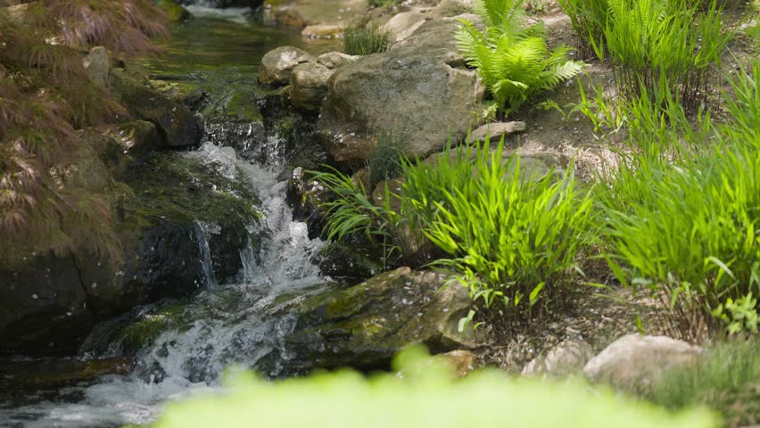 A miniature stream rolls its waters over the rocks in the meditation garden. Lush grasses and ferns adorn the banks. Close-up parallax shot.