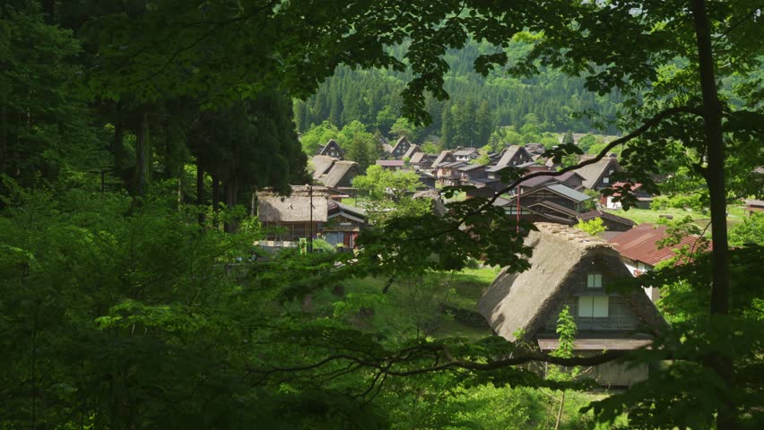 Shirakawago village with thatched roofs gassho-zukuri, Japan hidden in nature