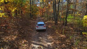Movement of SUV vehicle, slowly drive through the magnificent autumn forest tunnel formed with red and orange trees. Sun rays and shadows make stunning view of park at fall. Autumn nature and forest. - Powered by Shutterstock - Get 15% off with code: PIKWIZARD15