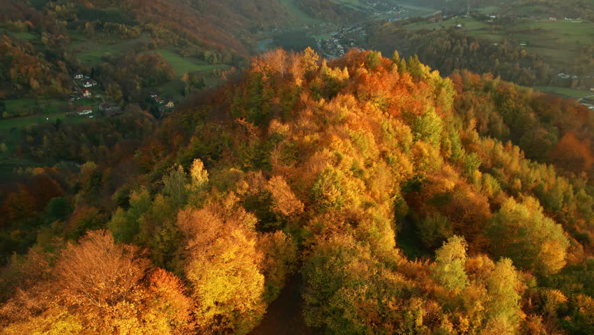 Beautiful aerial rural landscape with autumn forest in mountains during sunset, fall season. The stunning fall colours in the mountain countryside scenery. Orbit shot.  Royalty-Free Stock Footage #1107074219