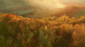 Beautiful aerial rural landscape with autumn forest in mountains during sunset, fall season. The stunning fall colours in the mountain countryside scenery. Orbit shot.  - Powered by Shutterstock - Get 15% off with code: PIKWIZARD15