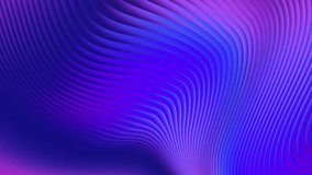 Abstract blue, pink and purple curve waves motion background. Seamless looping