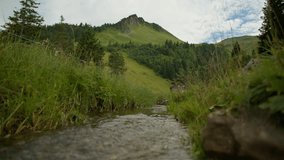 Low-Angle Shot of a Clear Stream Flowing in the Swiss Alps with Majestic Mountain in the Background