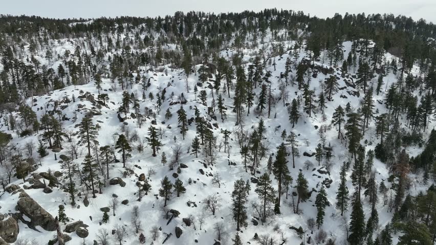 mountains with lots of woods and covered in snow at Big Bear Mountain Royalty-Free Stock Footage #1107091417