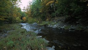 Low smooth drone video footage of a beautiful Appalachian forest stream during autumn
