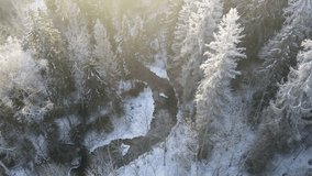 flight over winter forest and river