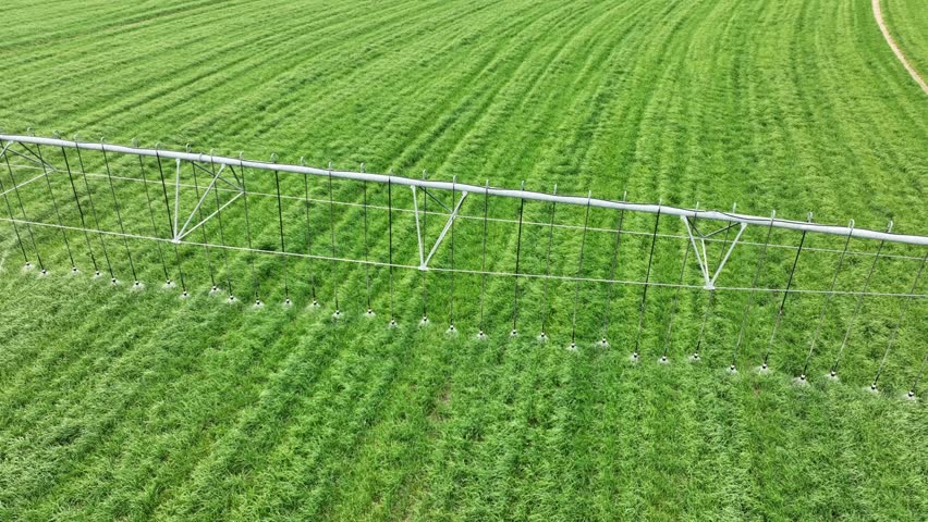Aerial shot of the sprinklers watering the crops on a circular farm in the Owens Valley in California