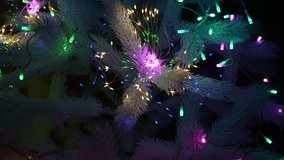 Radiant Yuletide Beautiful video showcasing a neon-lit fir tree for Christmas