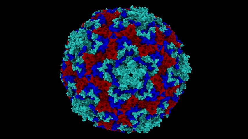 CryoEM structure of human enterovirus D68 full native virion. Virus protein structure PDB 6CSG. Black Background - Powered by Shutterstock - Get 15% off with code: PIKWIZARD15