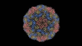 Cryo-EM structure for Hepatitis A virus empty particle. Virus protein structure PDB 5WTF. Beta-sheets and Alpha Helices, black background.