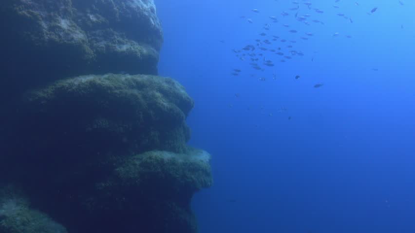 Underwater landcape - Very blue seawater
