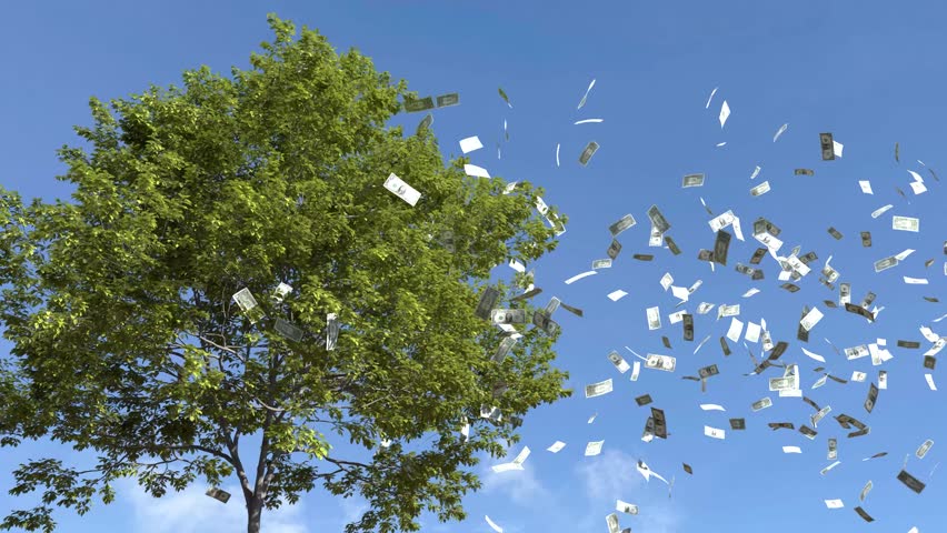 Dollar bill falling from the tree, Money falling from tree, Money fall from the tree.