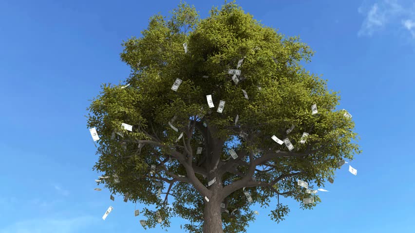 Dollar bill falling from the tree, Money falling from tree, Money fall from the tree.