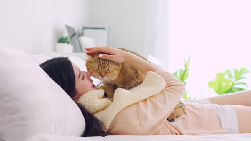 Asian woman holding and play with little cat with happiness at home. Attractive beautiful female lying down on bed, spend leisure time hug and massaging her pet animal with gentle in bedroom in house. Royalty-Free Stock Footage #1107128309