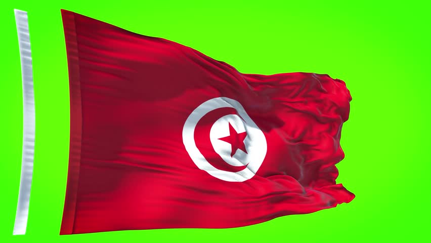 High detailed flag of Tunisia. National Tunisia flag. Africa.Tunisia waving flag in the sky. 3D rendering. Green background. | Shutterstock HD Video #1107128935
