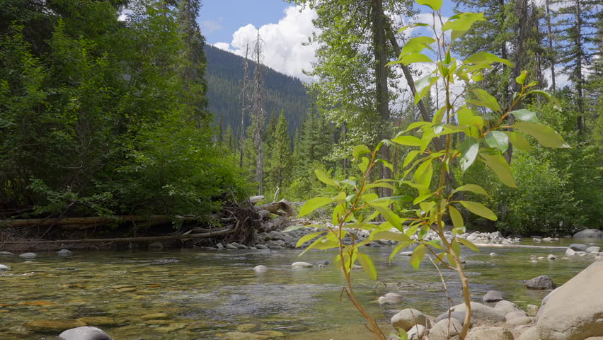 Establishing shot of majestic mountain river with mountain background in Vancouver, Canada, North America. Day time on April 2023. Still camera view. ProRes 422 HQ.