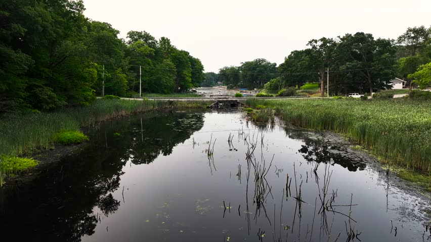 Low marsh area with a small old wooden bridge.