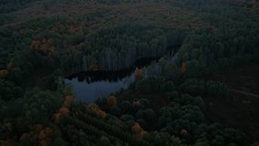 Stunning aerial drone video footage of colorful autumn canopy and woodland pond at night