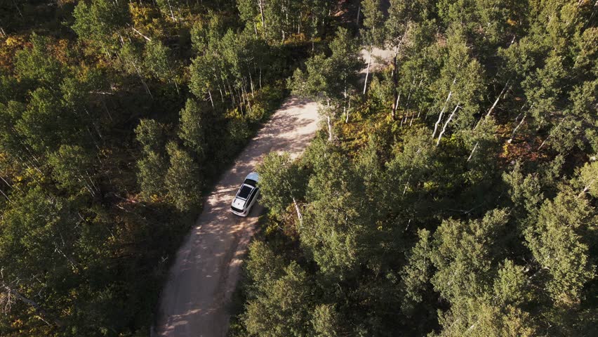 A drone birds-eye view of a car in Guardsman Pass, Utah, through forest trees