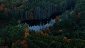 Stunning aerial drone video footage of colorful autumn canopy and woodland pond