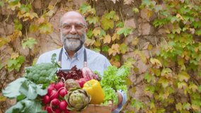 Cheerful senior man with gray hair and beard holding box of fresh vegetables, looking at camera and smiling, posing against stone wall with yellow ivy leaves on autumn day outdoors. Video portrait