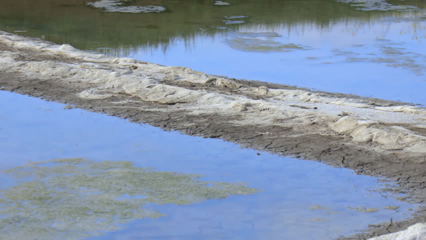 Salt marsh of the natural reserve of Lilleau des Niges on the Ile de Ré island in France