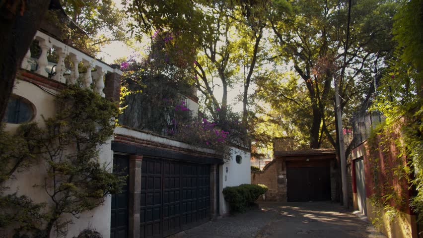 Street in Mexico City, Coyoacán.