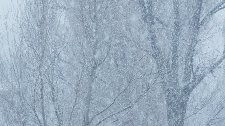 Winter's tale: Snowfall outside the window turns the city into a majestic landscape of snow-covered trees and white cover. Winter feel: Blizzards and snowfall add atmospheres of cold and winter | Shutterstock HD Video #1107146373