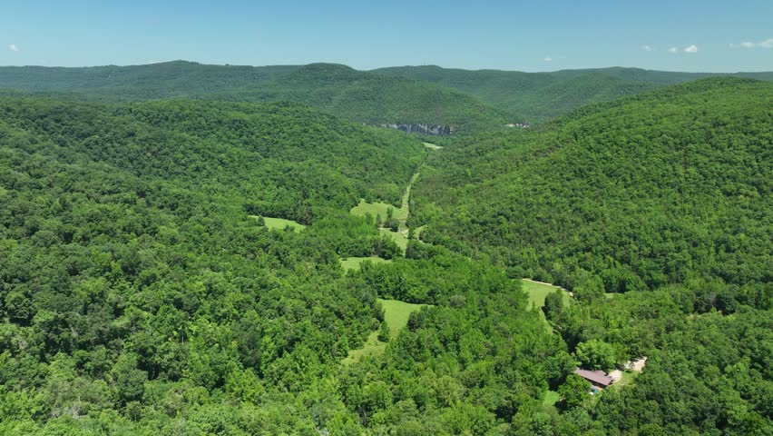 Breathtaking, vibrant green landscape in Arkansas; barely inhabited by humans.