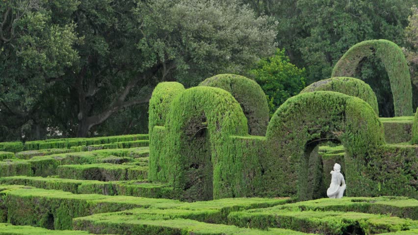 A woman standing in a beautiful hedge maze