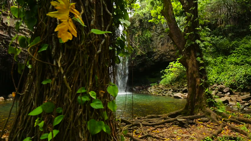 Beautiful View Through the Jungle of a Tropical Waterfall in Hawaii. Steadicam Shot.