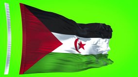 Western Sahara Flag video waving in wind. Western Sahara Flag Wave Loop waving in wind. Realistic Western Sahara Flag background.