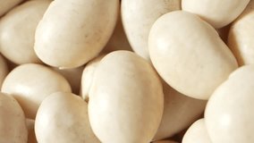 White kidney beans (Phaseolus vulgaris) are oval-shaped legumes with smooth, glossy white or cream skin. Popular in Italian cuisine as cannellini or Italian kidney beans. Grain background
