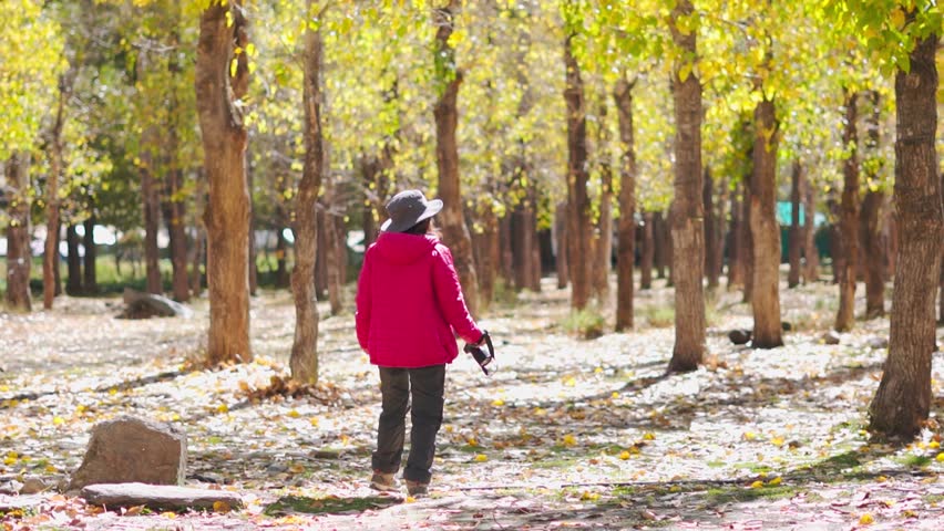 Portrait of young woman wandering in woods and taking photos on camera in autumn forest at Sissu, Himachal Pradesh, India. Smiling photographer shooting landscape in woods during hike